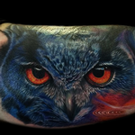 Tattoos - Realistic Color Owl Portrait  - 104988